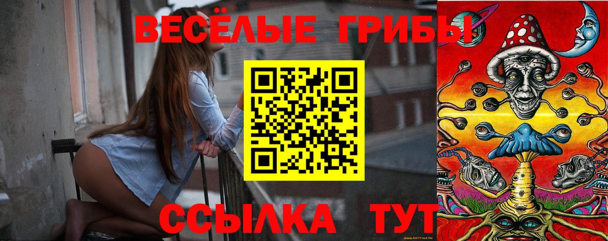 Псилоцибиновые грибы MAGIC MUSHROOMS  Псилоцибиновые грибы MAGIC MUSHROOMS  Вход с VPN  Ялуторовск 